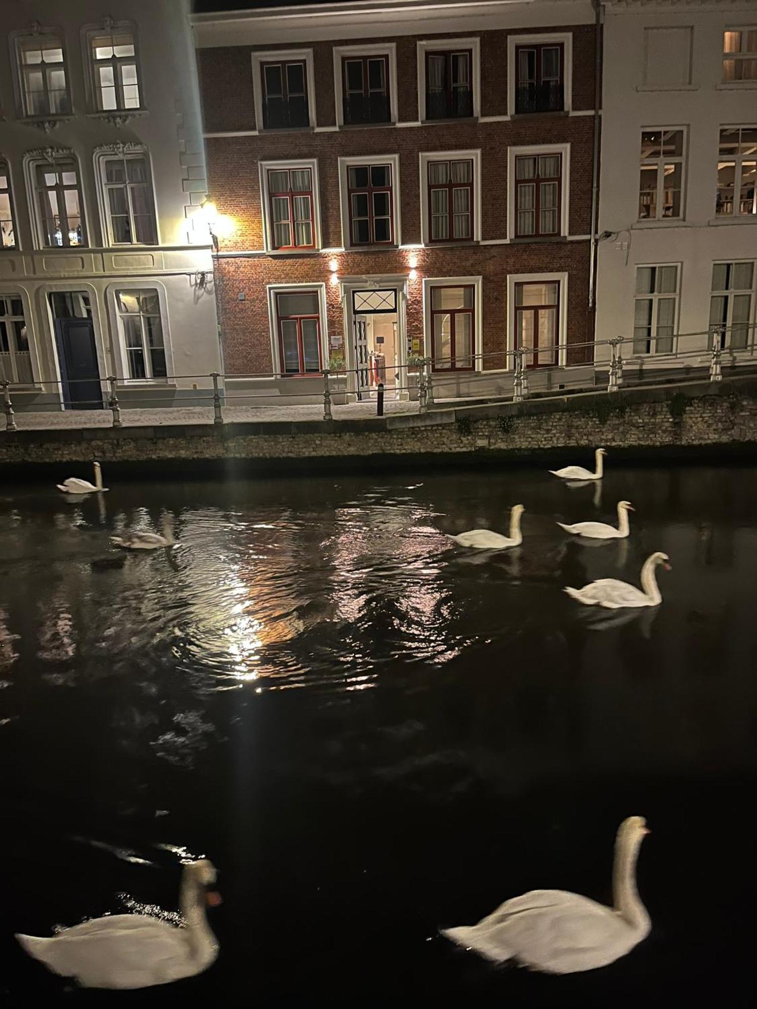 B&B Anna9 Brugge Eksteriør billede