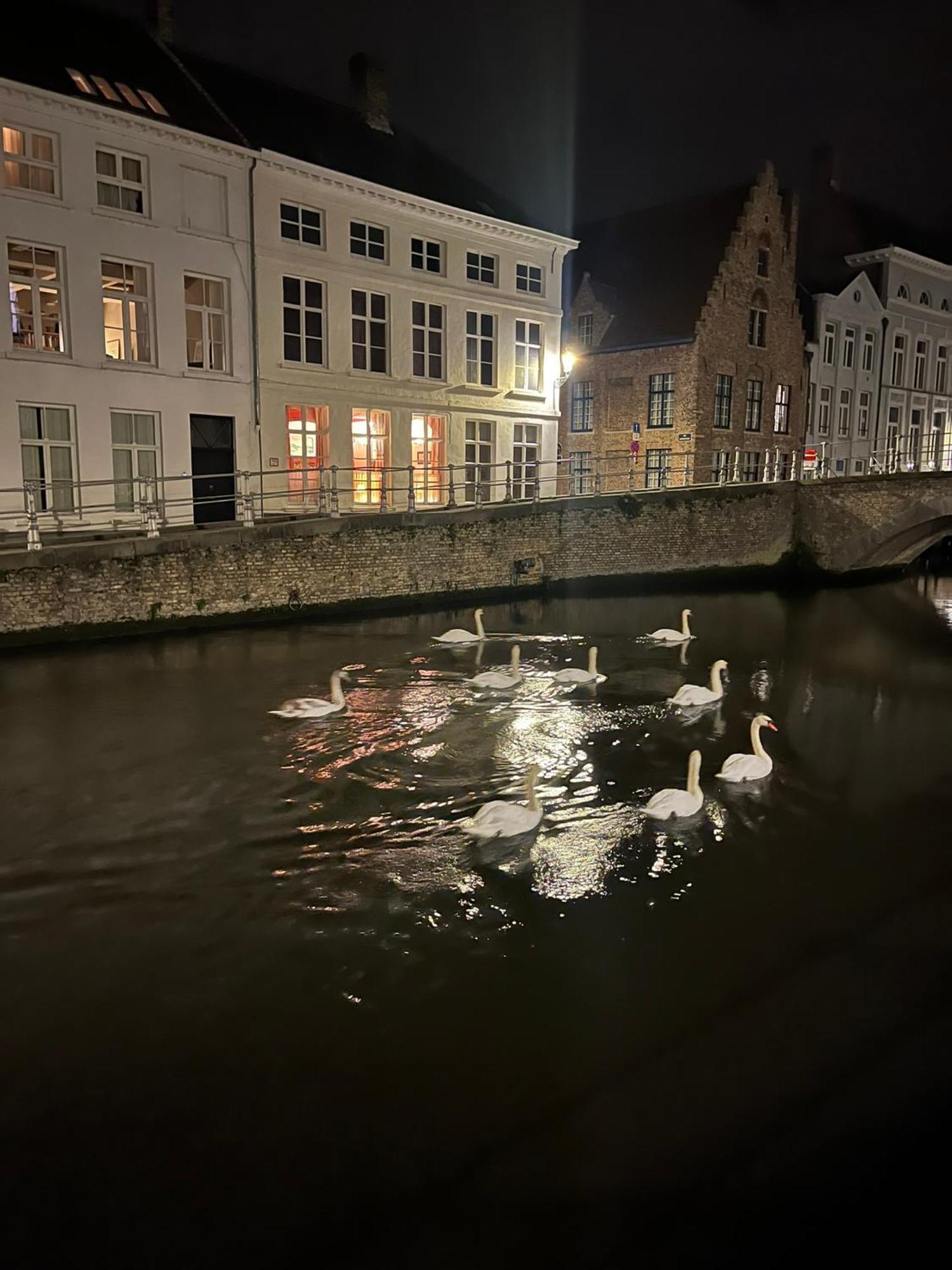 B&B Anna9 Brugge Eksteriør billede